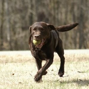 Meet your Posher, Patricia